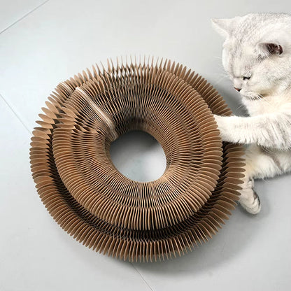 PurrfectScratch Magic Organ Cat Scratching Board – Interactive Claw Grinder &amp; Fun Toy for Cats