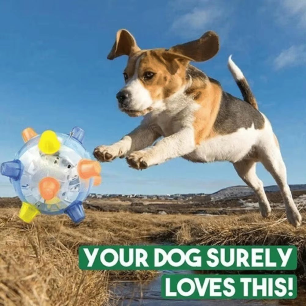 PawActive Jumping Activation Ball – Flashing Light &amp; Sound Interactive Toy for Dogs