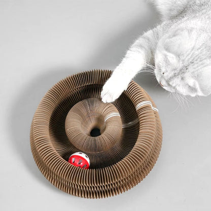 PurrfectScratch Magic Organ Cat Scratching Board – Interactive Claw Grinder &amp; Fun Toy for Cats