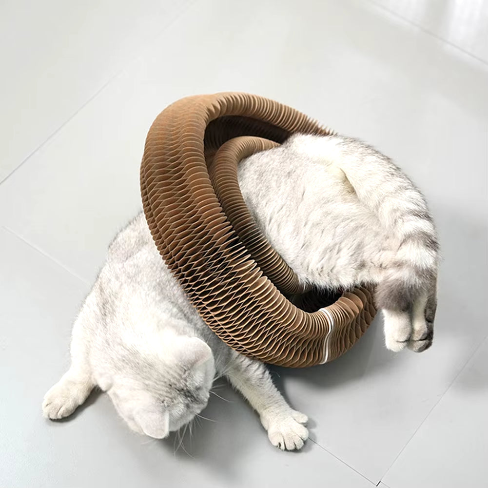 PurrfectScratch Magic Organ Cat Scratching Board – Interactive Claw Grinder &amp; Fun Toy for Cats